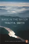 Wade in the Water cover