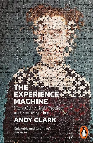 The Experience Machine cover