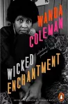 Wicked Enchantment cover