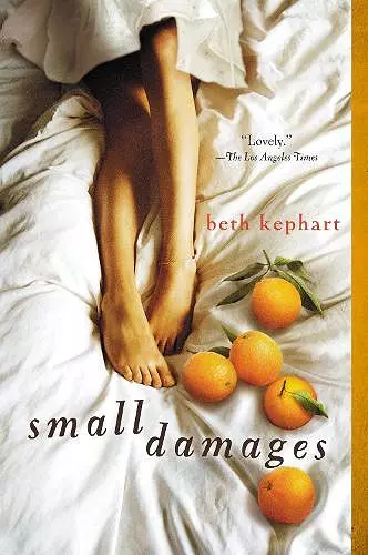 Small Damages cover