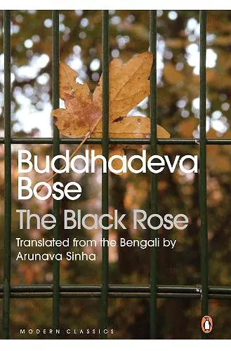 The Black Rose cover
