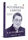 An Accidental Lawyer cover