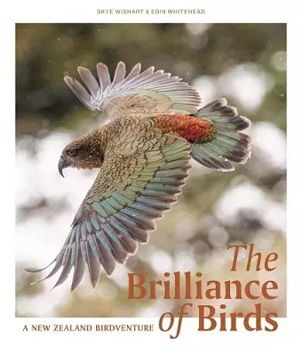 The Brilliance of Birds cover