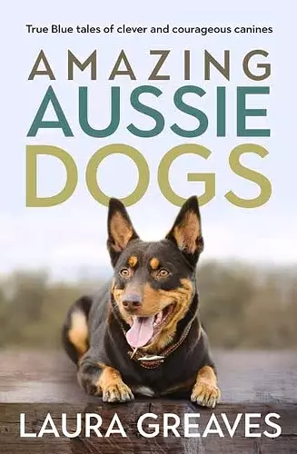 Amazing Aussie Dogs cover