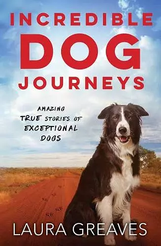 Incredible Dog Journeys cover