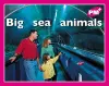 Big sea animals cover