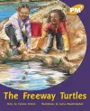 The Freeway Turtles cover