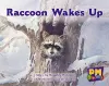 Raccoon Wakes up cover