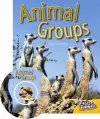 Animal Groups cover