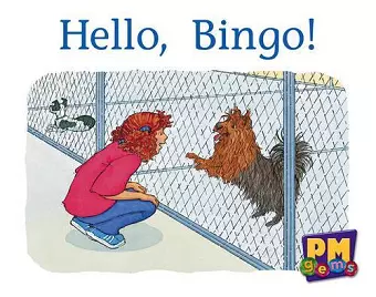 Hello, Bingo! cover