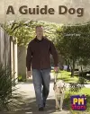 A Guide Dog cover