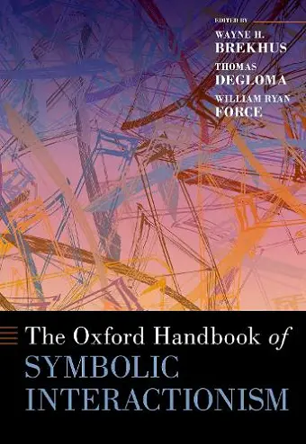 The Oxford Handbook of Symbolic Interactionism cover