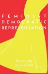 Feminist Democratic Representation cover