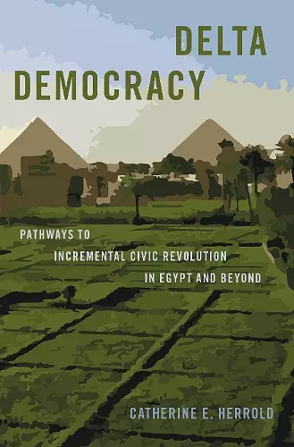 Delta Democracy cover