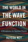 The World in the Wave Function cover