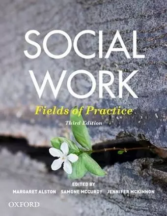 Social Work cover