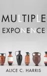 Multiple Exponence cover