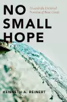 No Small Hope cover