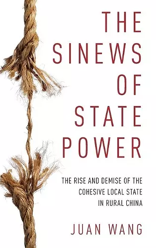 The Sinews of State Power cover