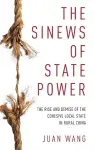 The Sinews of State Power cover