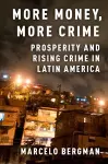 More Money, More Crime cover