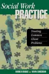 Social Work Practice cover