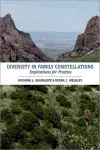 Diversity in Family Constellations cover