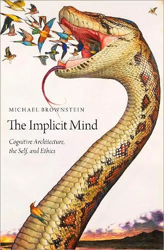 The Implicit Mind cover