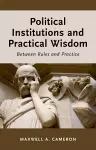 Political Institutions and Practical Wisdom cover