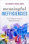 Meaningful Inefficiencies cover
