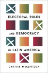 Electoral Rules and Democracy in Latin America cover