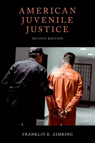 American Juvenile Justice cover