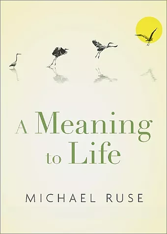 A Meaning to Life cover