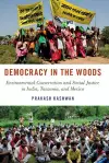 Democracy in the Woods cover