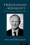 Twelve Essays on Winnicott cover