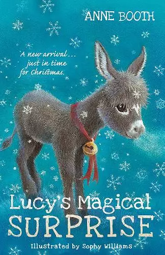 Lucy's Magical Surprise cover