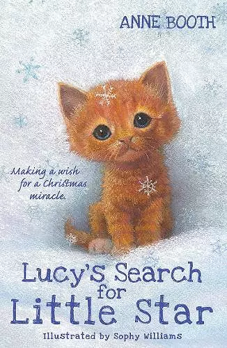 Lucy's Search for Little Star cover