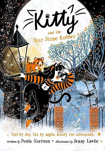 Kitty and the Star Stone Robber cover