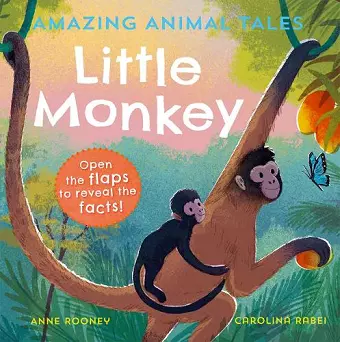 Amazing Animal Tales: Little Monkey cover
