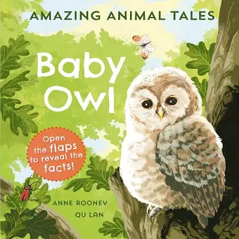 Amazing Animal Tales: Baby Owl cover