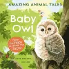 Amazing Animal Tales: Baby Owl cover