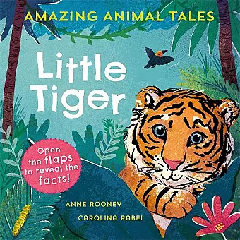 Amazing Animal Tales: Little Tiger cover