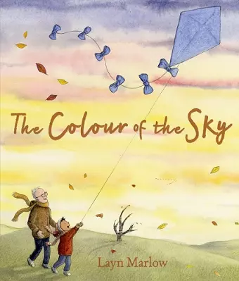 The Colour of the Sky cover