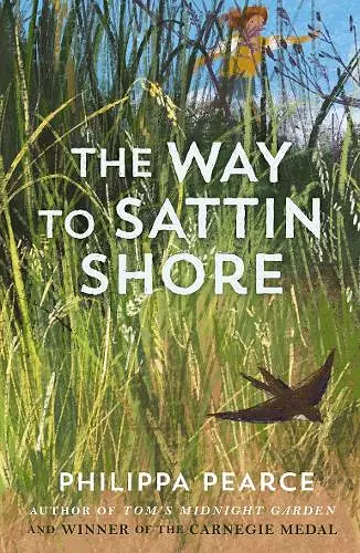 The Way to Sattin Shore cover