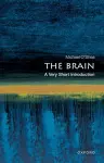 The Brain: A Very Short Introduction cover