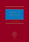 Abuse of Process cover