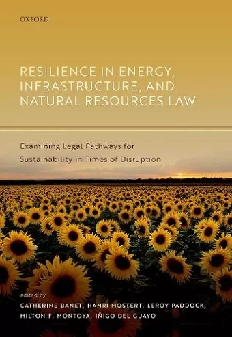 Resilience in Energy, Infrastructure, and Natural Resources Law cover