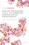 Positive Obligations under the European Convention on Human Rights cover