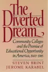 The Diverted Dream cover