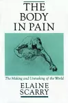 The Body in Pain cover